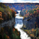 Illustration for article titled 100 Gorgeous Photos Of Fall Leaves